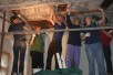 ASF-Camp legt Fischgrätendecke frei
