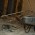 Baubild_01