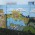 Grafitti 2011